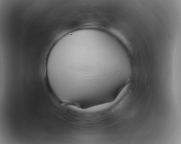 X0000088741413200706282135