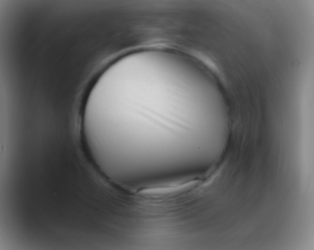 X0000088741414200706282135