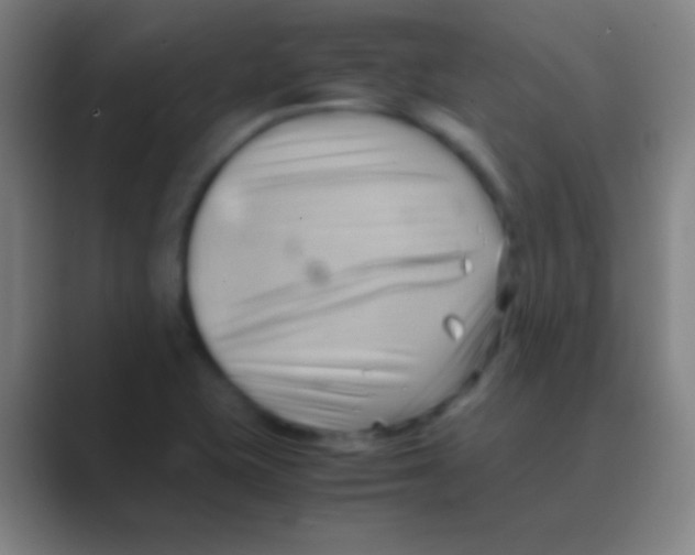 X0000088741415200706282135