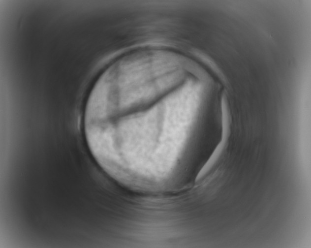 X0000088741416200706282135