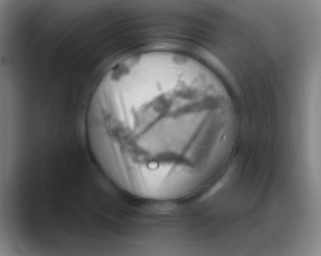 X0000088741417200706282135