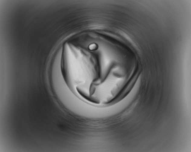 X0000088741418200706282135