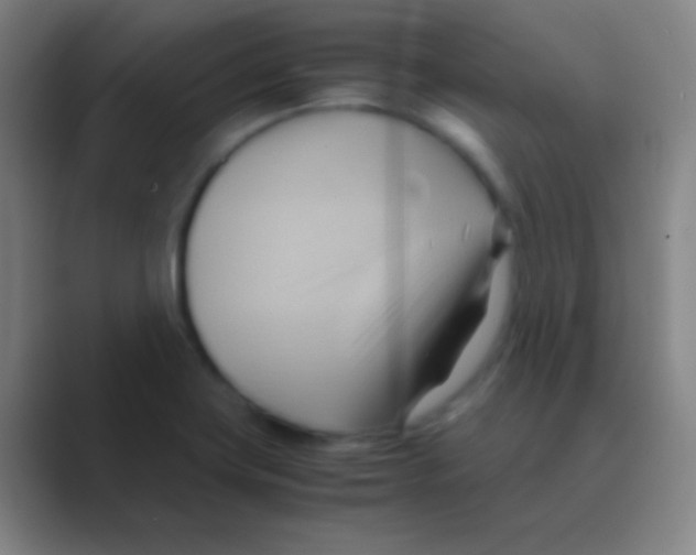 X0000088741419200706282135