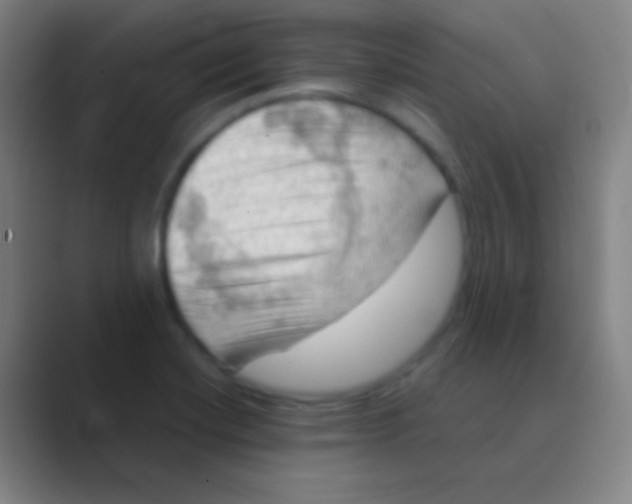X0000088741420200706282135