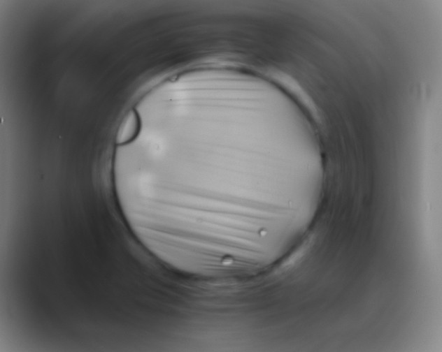 X0000088741421200706282135