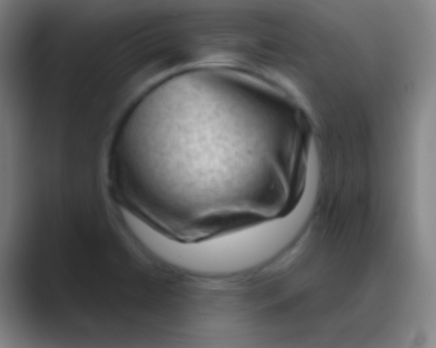 X0000088741422200706282135