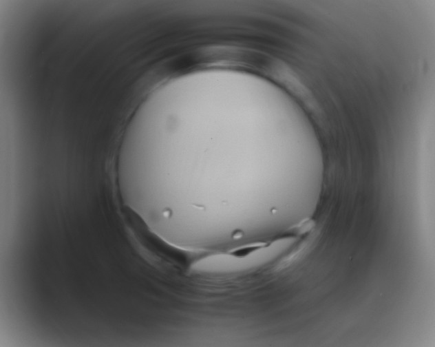 X0000088741425200706282135