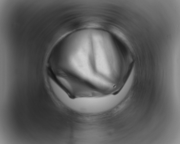 X0000088741426200706282135