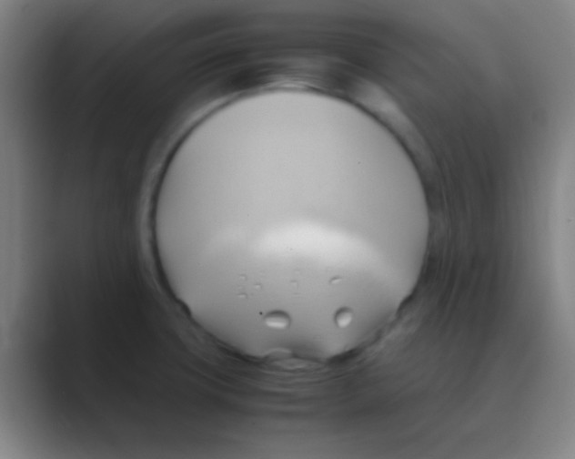 X0000088741427200706282135