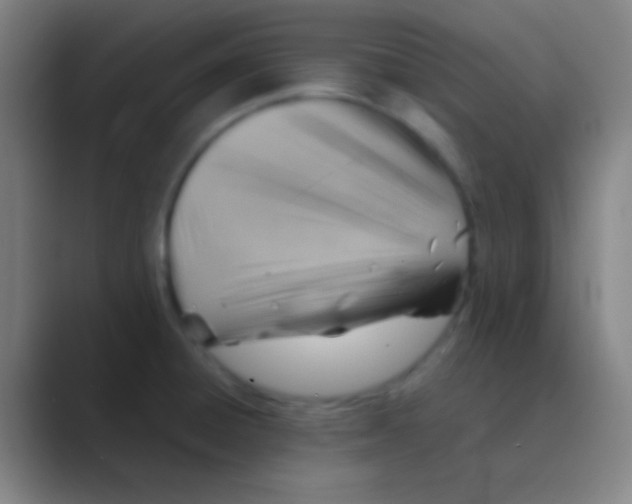 X0000088741428200706282135