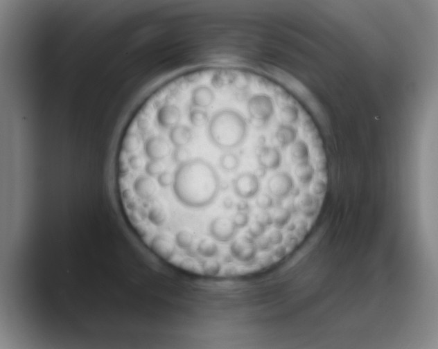 X0000088741432200706282135