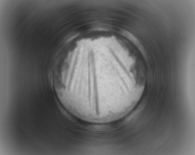 X0000088741433200706282135