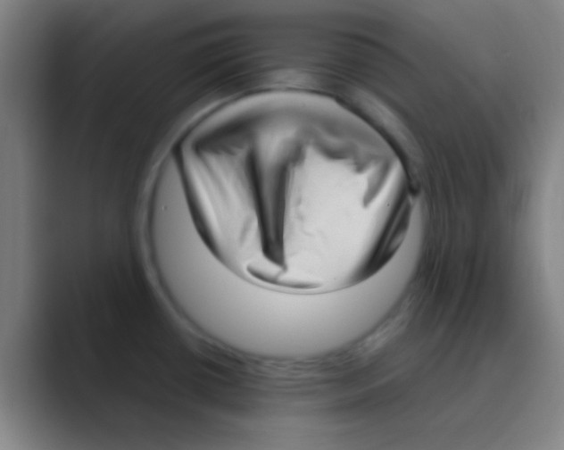 X0000088741434200706282135