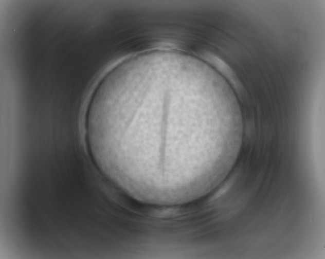 X0000088741435200706282135