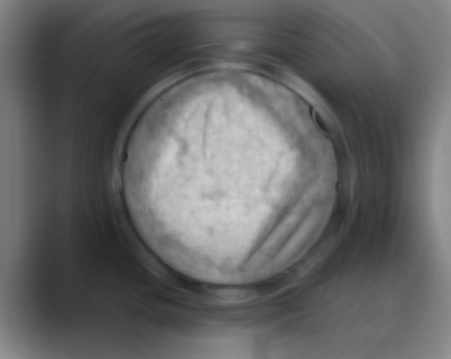 X0000088741436200706282135