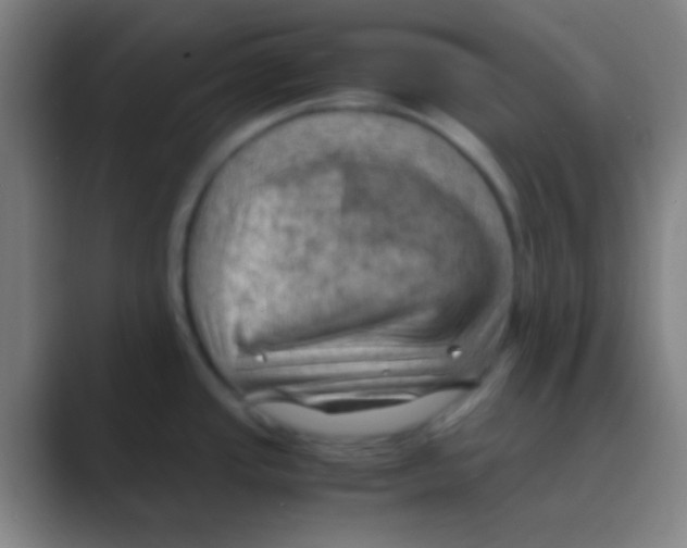 X0000088741437200706282135