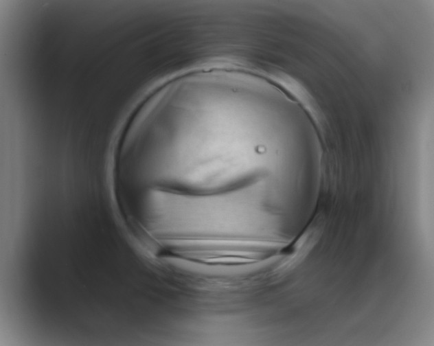 X0000088741438200706282135