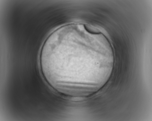 X0000088741440200706282135