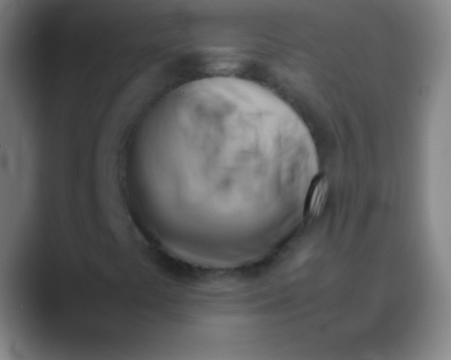 X0000088741441200706282135