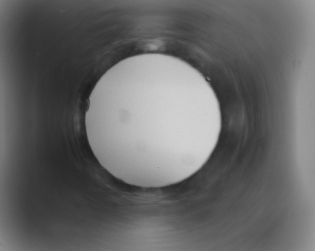 X0000088741442200706282134