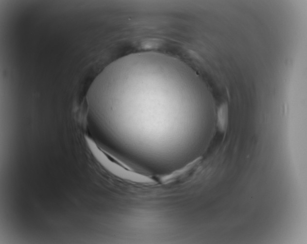 X0000088741443200706282134