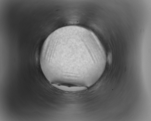 X0000088741444200706282134