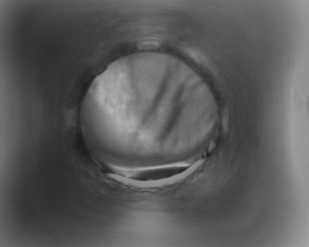 X0000088741445200706282134