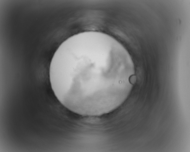 X0000088741446200706282134