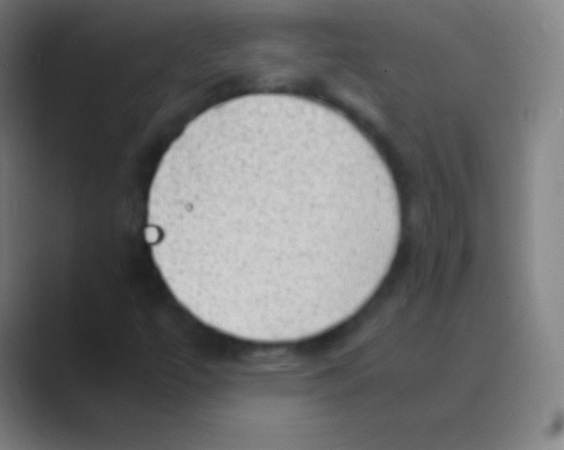 X0000088741447200706282134