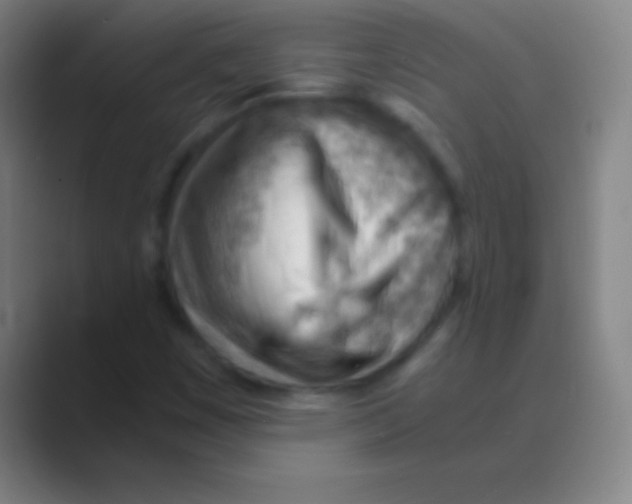 X0000088741449200706282134