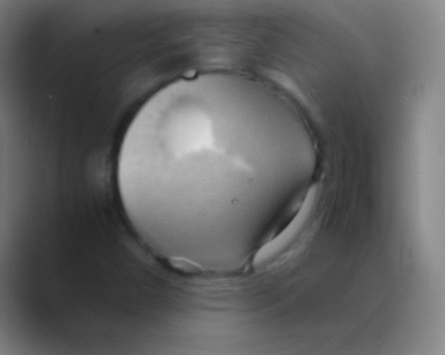 X0000088741450200706282134