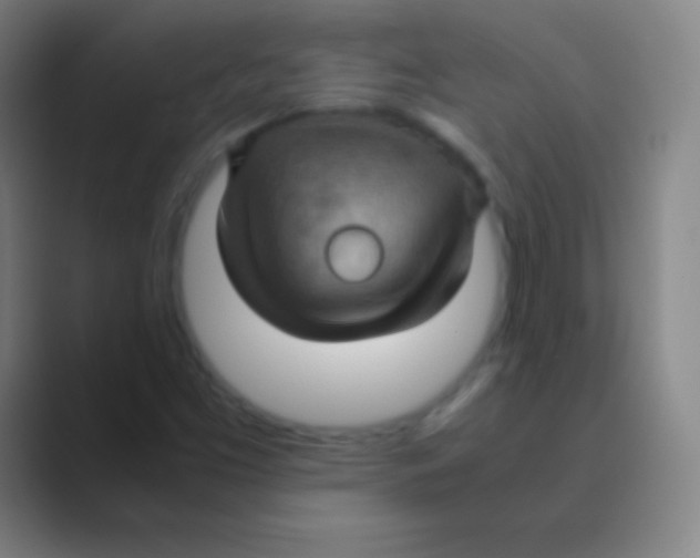 X0000088741453200706282134
