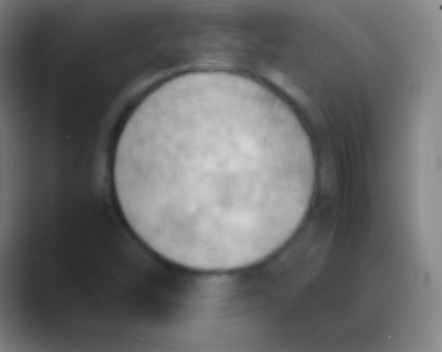 X0000088741454200706282134