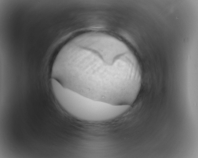 X0000088741456200706282134