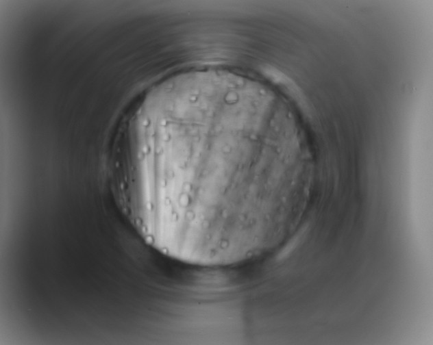X0000088741457200706282134