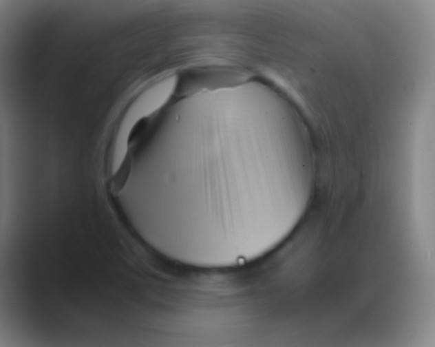 X0000088741459200706282134