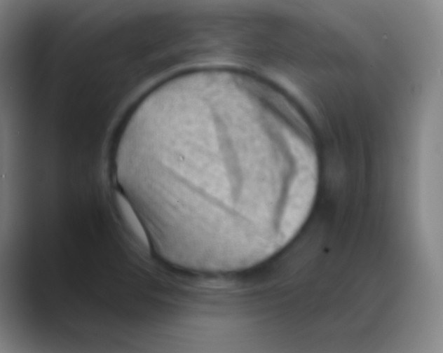 X0000088741460200706282134