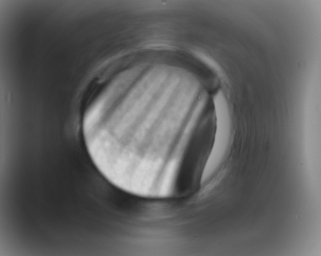 X0000088741461200706282134