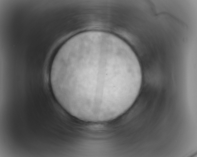 X0000088741462200706282134