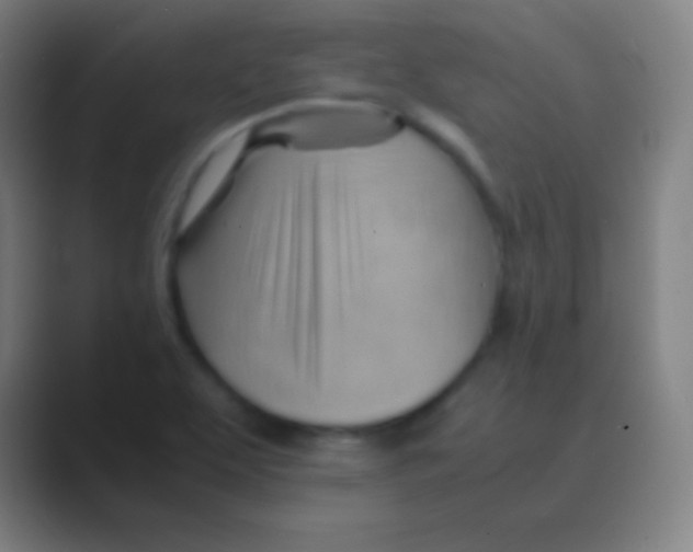 X0000088741463200706282134