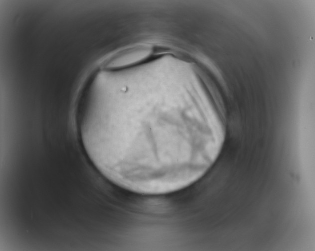 X0000088741464200706282134