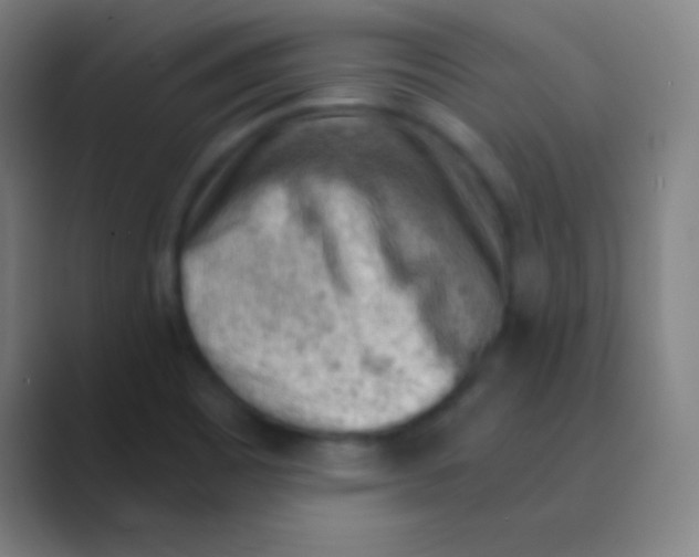 X0000088741465200706282134
