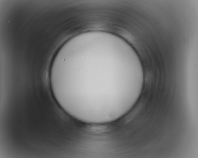 X0000088741466200706282134