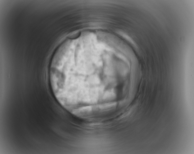X0000088741467200706282134