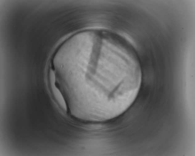 X0000088741468200706282134