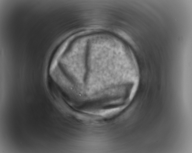 X0000088741469200706282134