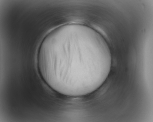X0000088741471200706282134