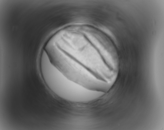 X0000088741472200706282134
