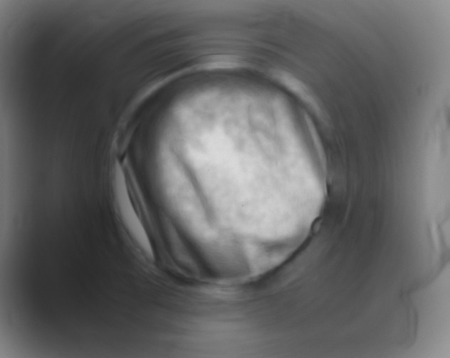 X0000088741473200706282134