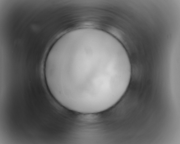 X0000088741474200706282134